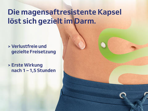 Schaubild zur Wirkweise von Carmenthin®